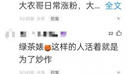 陈亚楠身价爆料视频播放,视频播放量背后的惊人数字