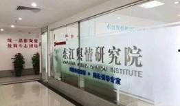 惠州爆料的视频,一窥当地社会现象与民生问题